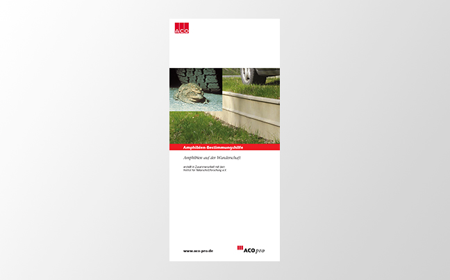 Amphibien Bestimmungshilfe